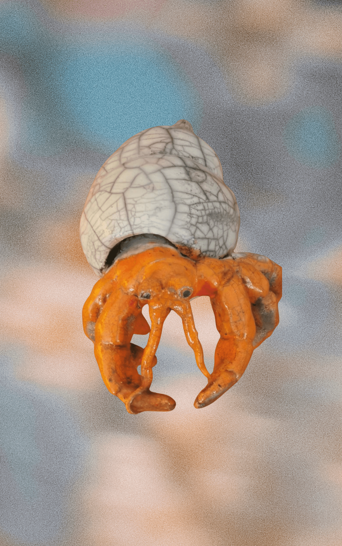 Bernard l’hermite (vendue)