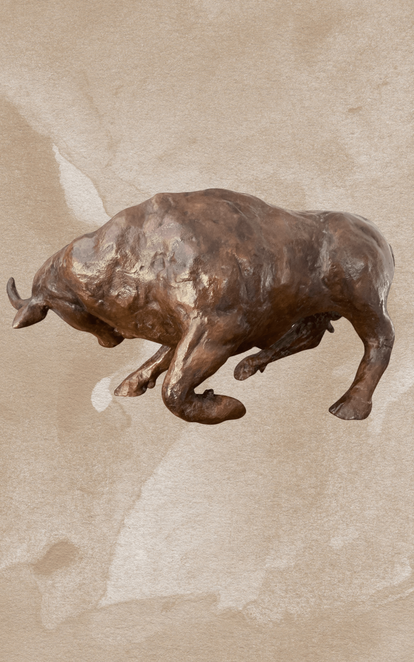 Taureau 2/8